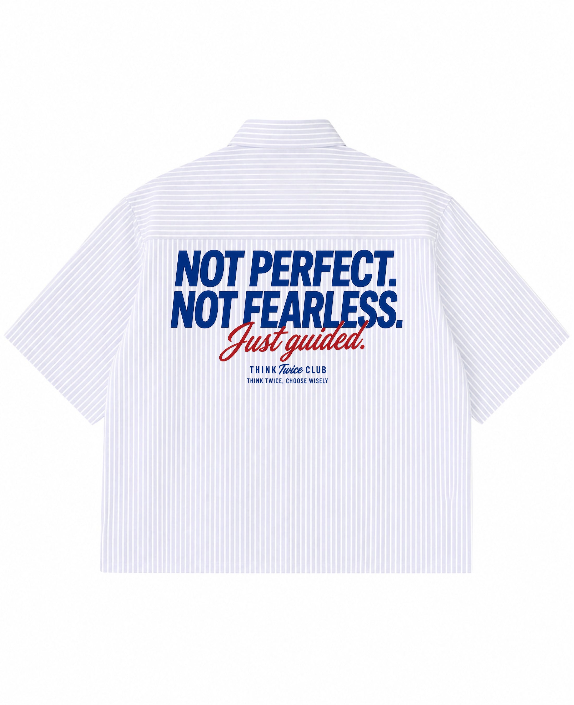 Blue Striped Oxford Boxy Shirt Back Design