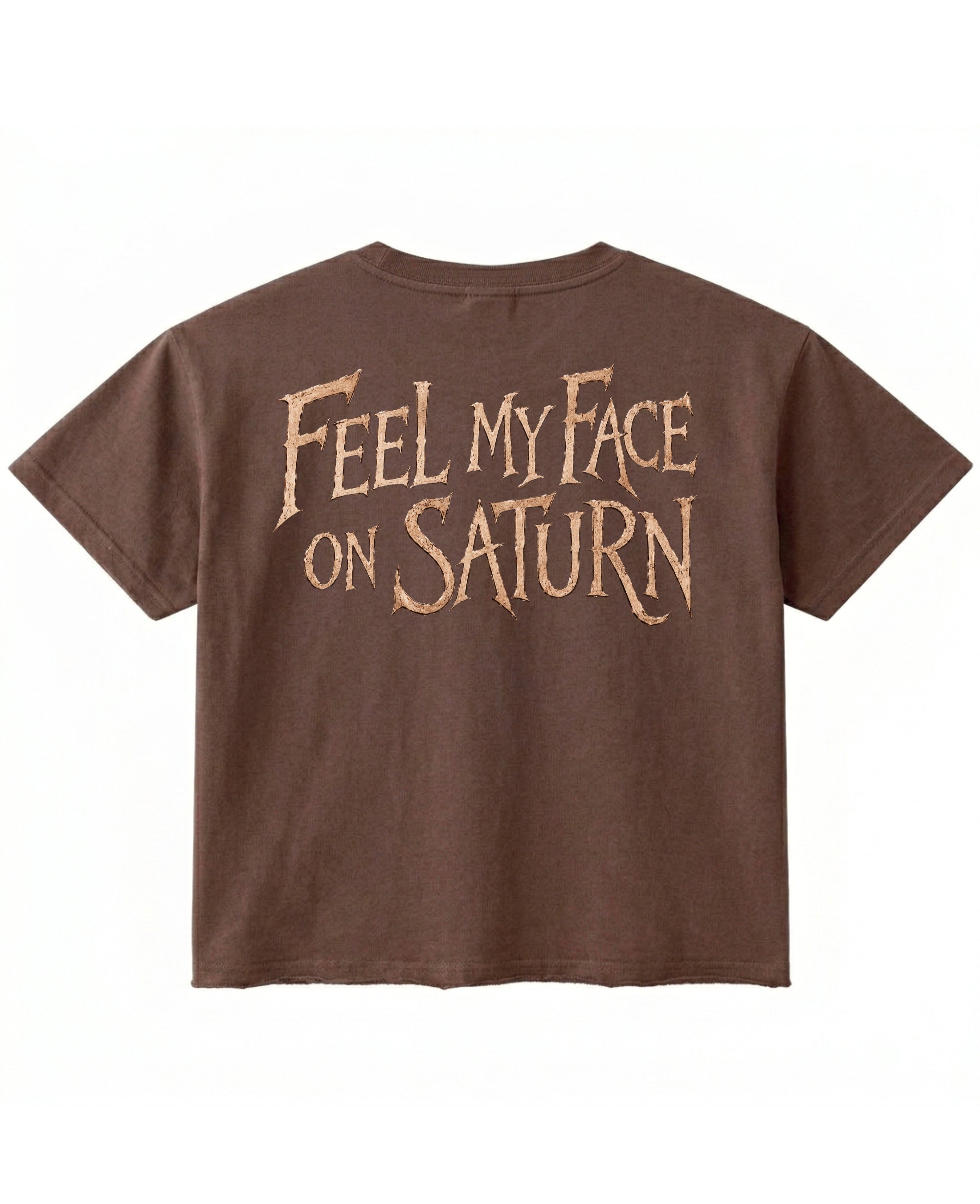 Brown Boxy Fit T-shirt Back Design